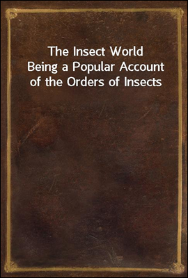 The Insect World
Being a Popular Account of the Orders of Insects