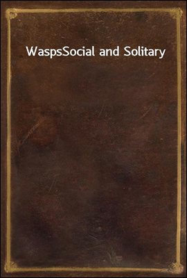 Wasps
Social and Solitary