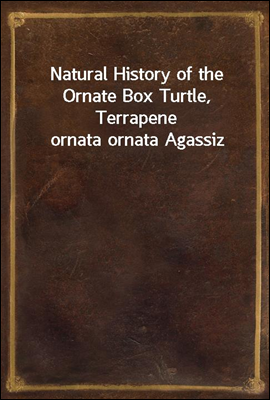Natural History of the Ornate Box Turtle, Terrapene ornata ornata Agassiz