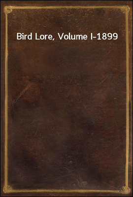 Bird Lore, Volume I-1899