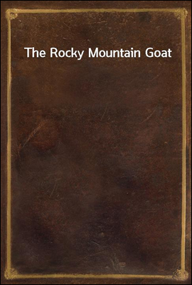 The Rocky Mountain Goat