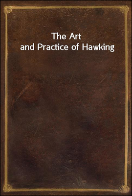 The Art and Practice of Hawkin...