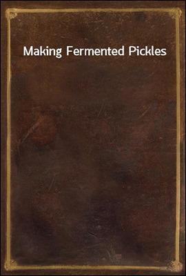 Making Fermented Pickles