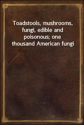 Toadstools, mushrooms, fungi, ...
