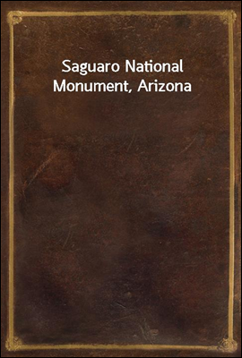 Saguaro National Monument, Ari...