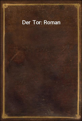 Der Tor: Roman