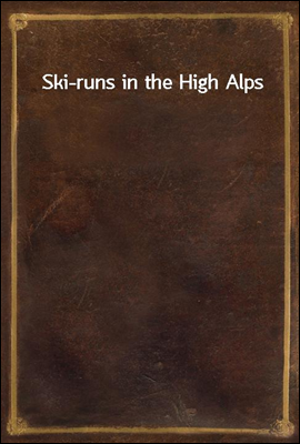 Ski-runs in the High Alps