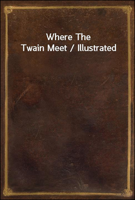 Where The Twain Meet / Illustrated