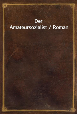 Der Amateursozialist / Roman
