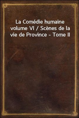 La Comedie humaine volume VI / Scenes de la vie de Province - Tome II