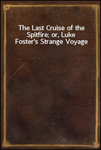 The Last Cruise of the Spitfire; or, Luke Foster's Strange Voyage