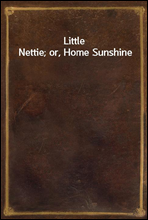 Little Nettie; or, Home Sunshine