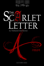  ״ д ȫ۾(The Scarlet Letter)